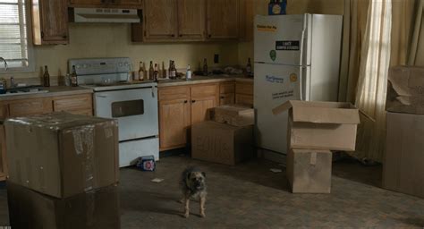 strays (2023) torrent|Download Strays (2023) Torrents .